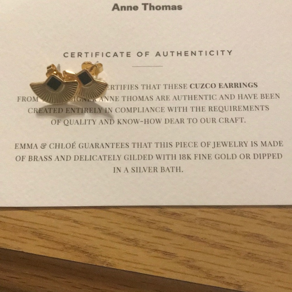 Earrings. NEVER WORN. BRAND NEW.